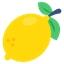 fruit rush logo